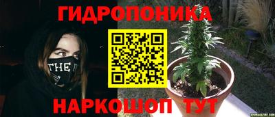 Альфа ПВП Краснознаменск