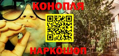 стафф Краснодар